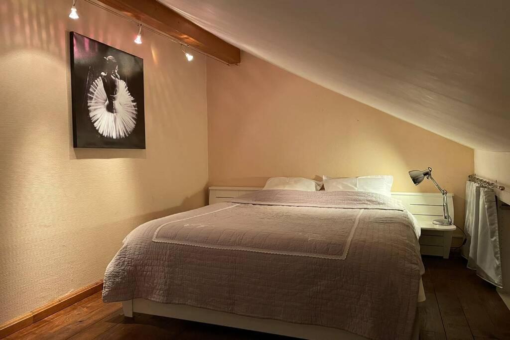 Duplex, A 10 Min De La Frontiere, Ornex